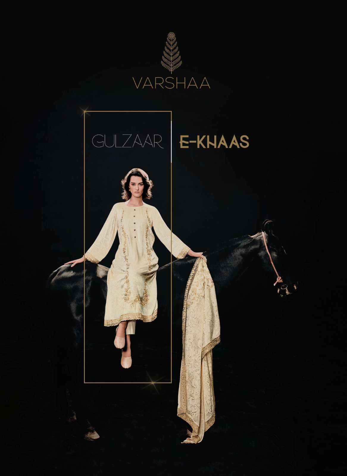 Varsha Gulzaar E Khaas Partywear Velvet salwar kameez Winter Collection wholesale price ( 6 pcs catalog )